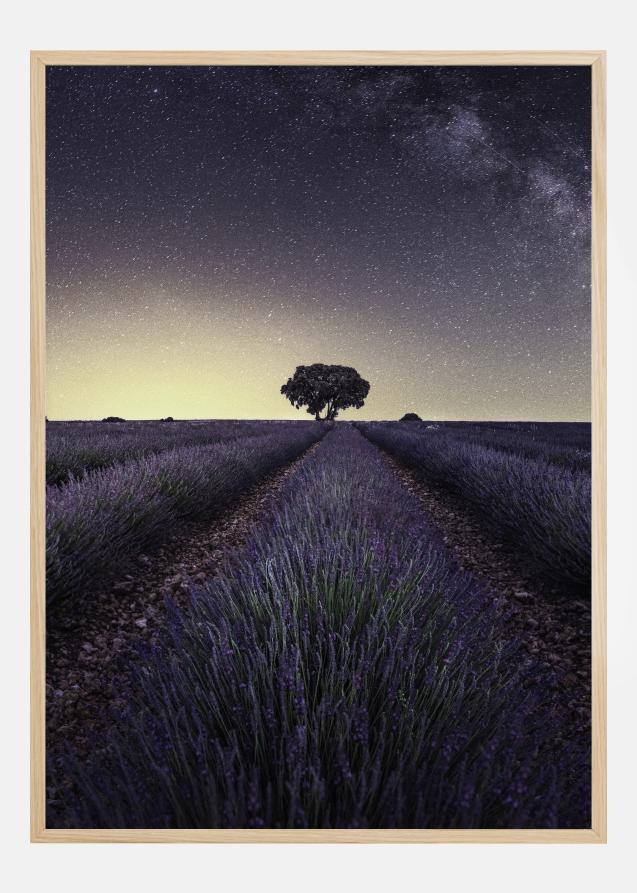 Lavender Fields Póster