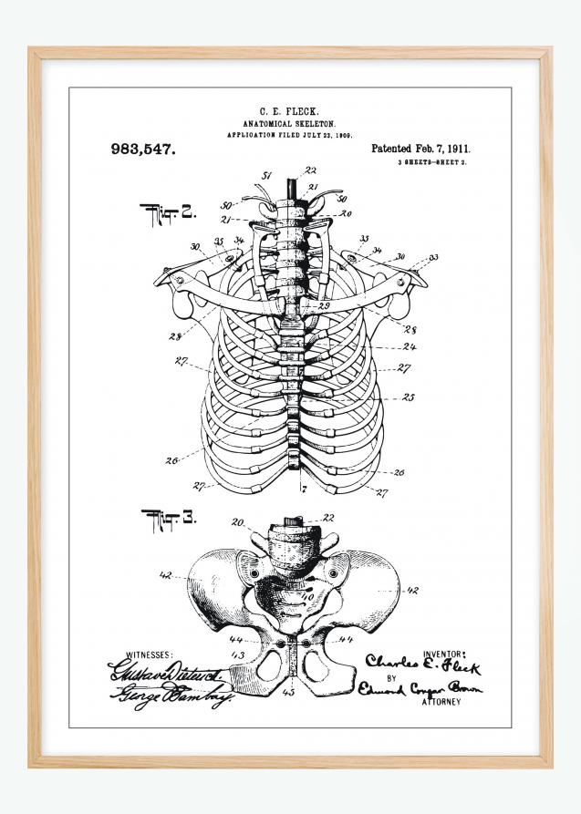 Dibujo de patente - Esqueleto anatómico II Póster