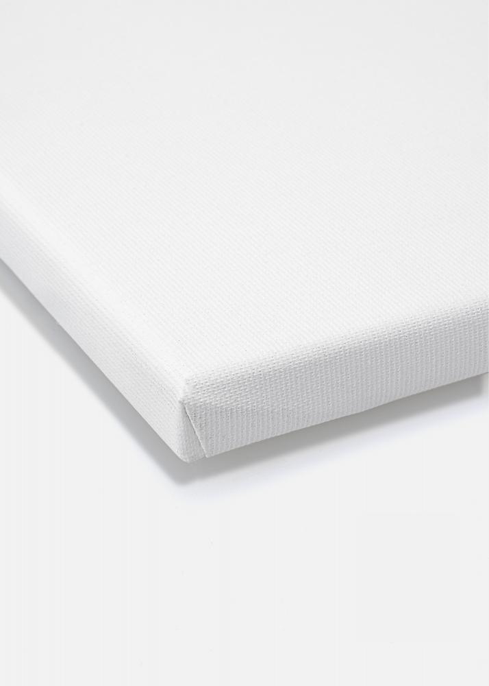 Lienzo para pintar Premium Blanco 80x120 cm