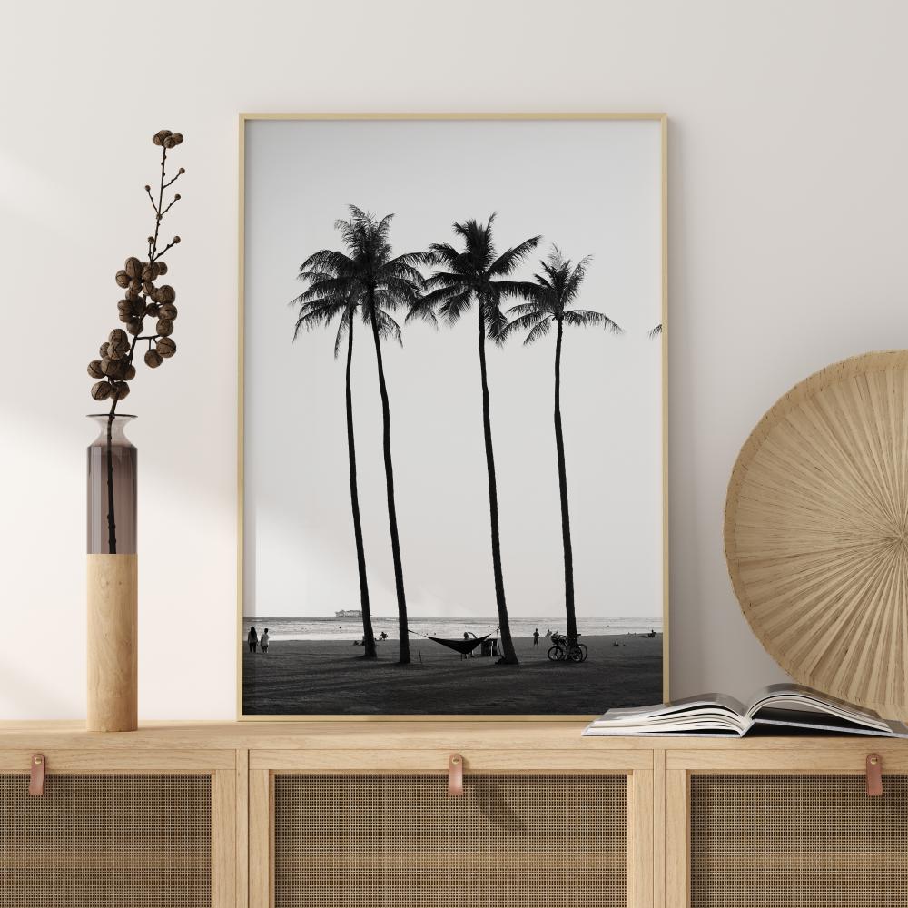 Black And White Palm Trees Pster