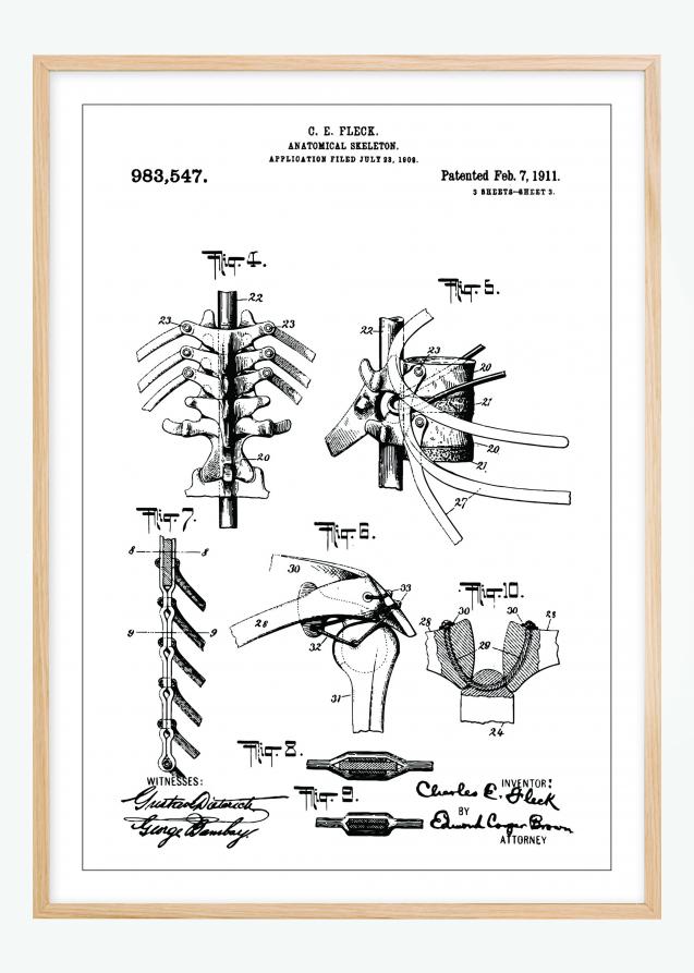 Dibujo de patente - Esqueleto anatómico III Póster