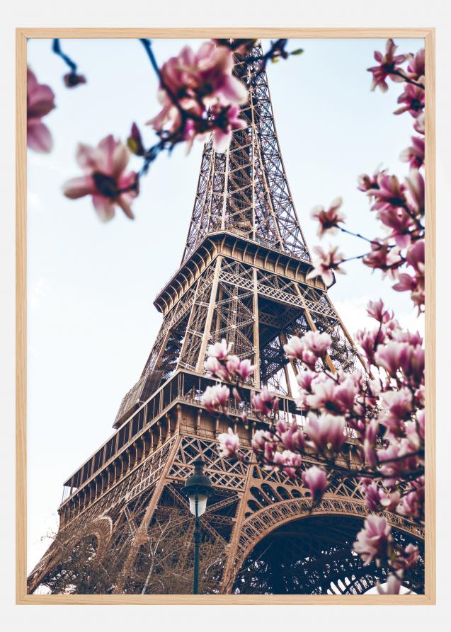 Eiffel Tower Blossoms Póster