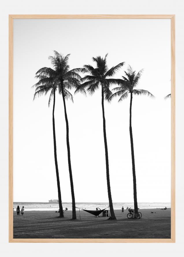 Black And White Palm Trees Póster