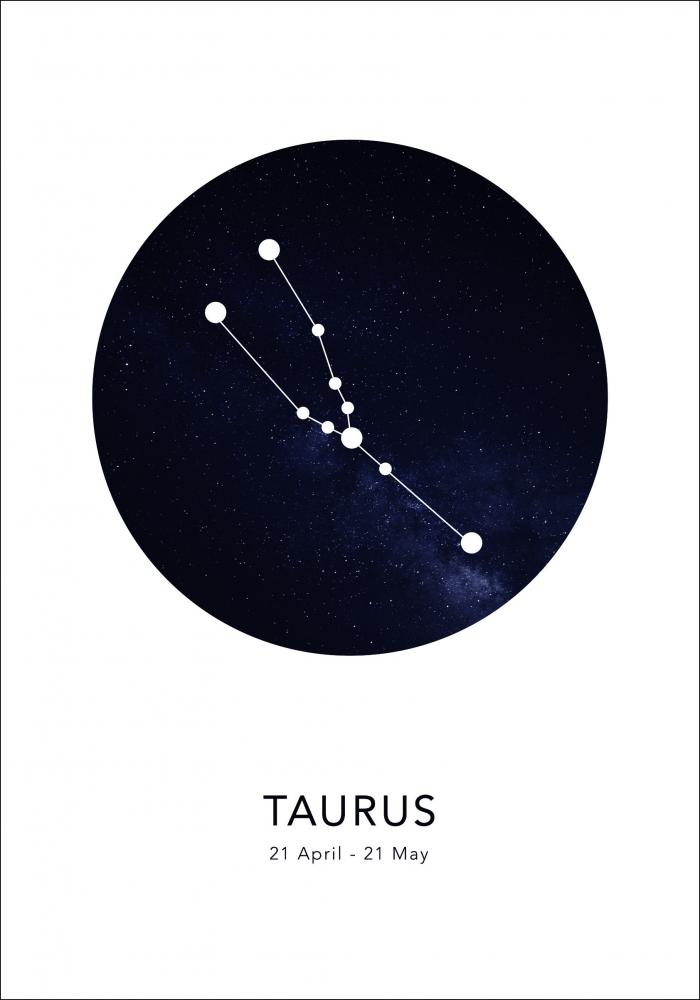 Taurus Pster