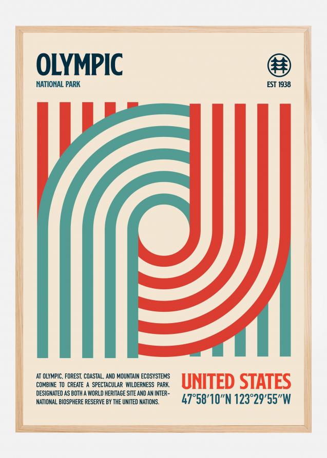 Olympic National Park Travel Poster Póster