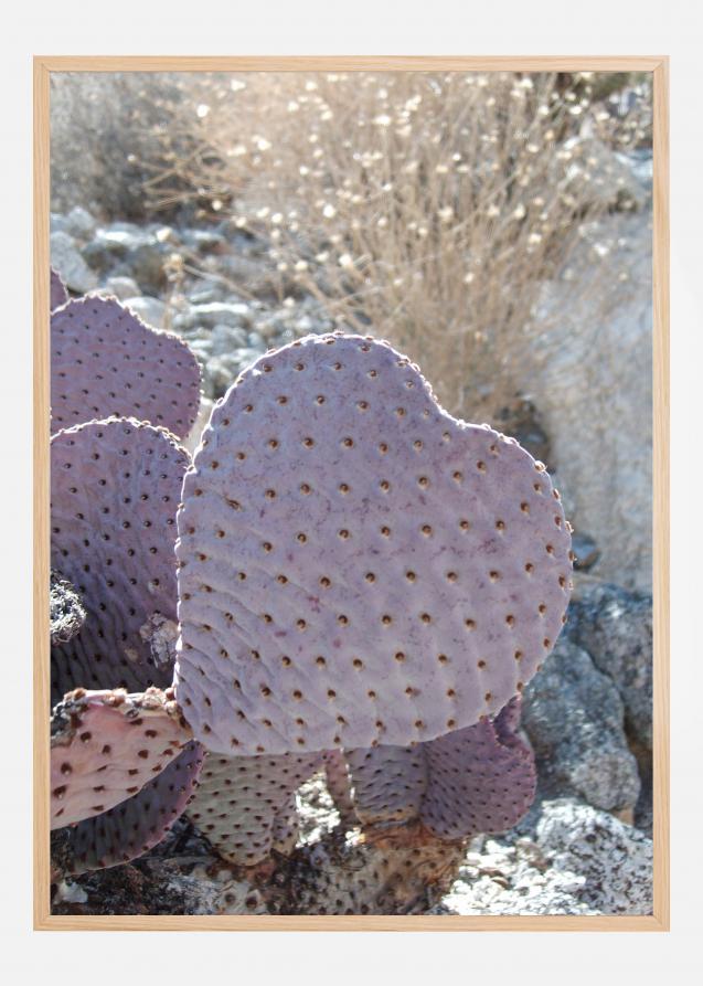 Cactus Póster