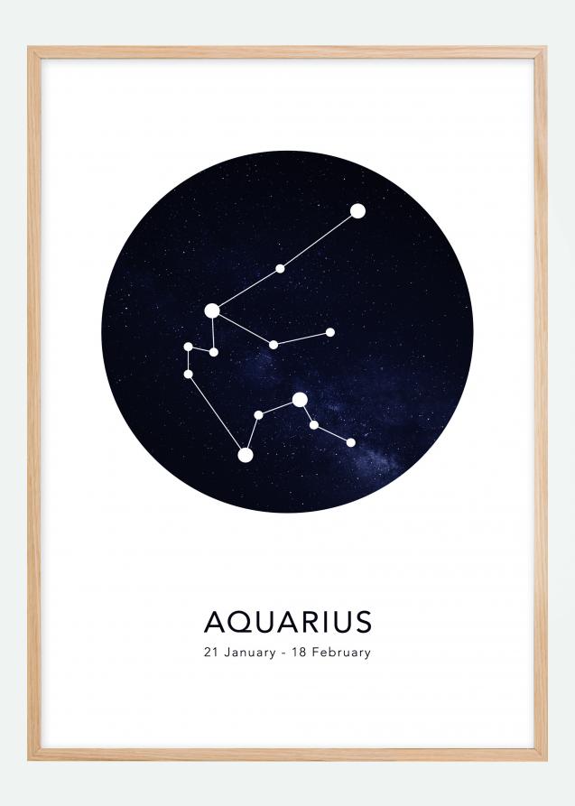 Aquarius Póster