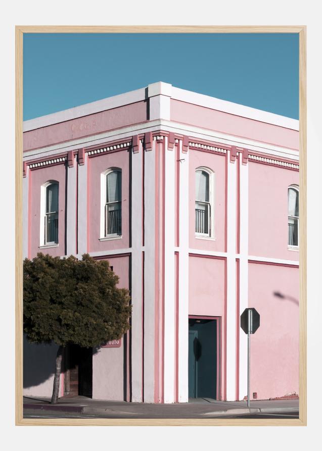 Pink Building Póster