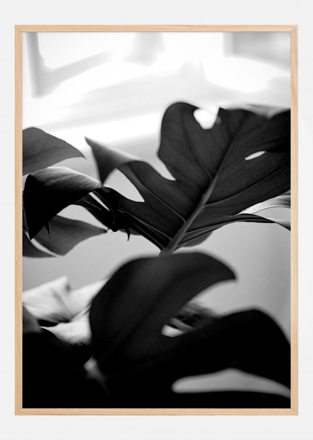 Monstera in Black and White l Póster