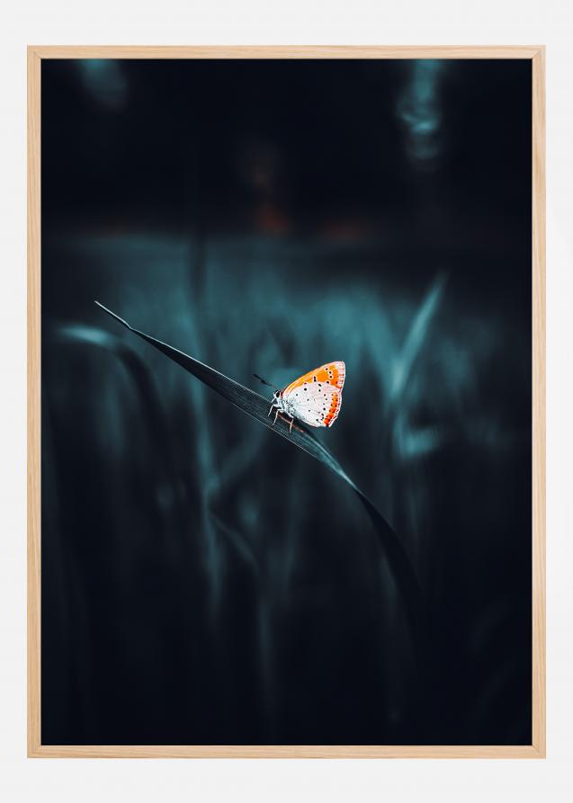 A Lonely Butterfly Póster