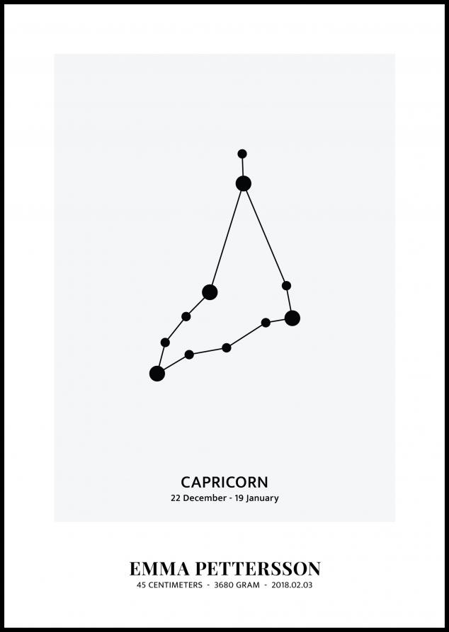 Capricorn - Signo del zodiaco