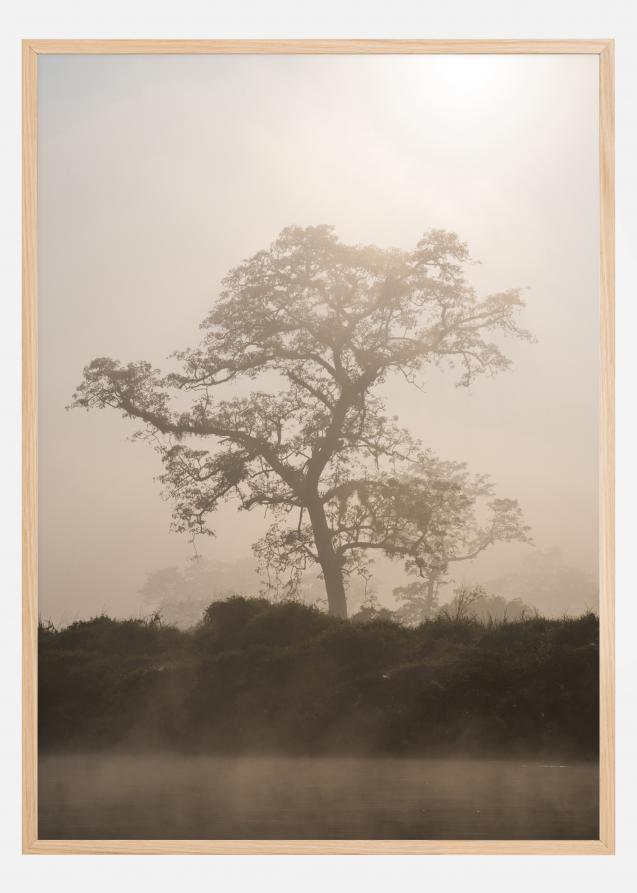 Misty Tree Póster