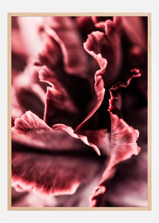 Rose petals Póster