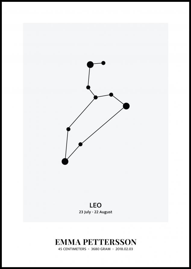 Leo - Signo del zodiaco
