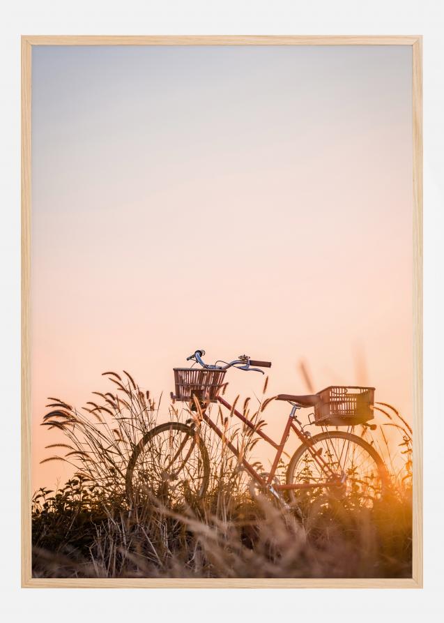 Bike Ride In The Sunset Póster