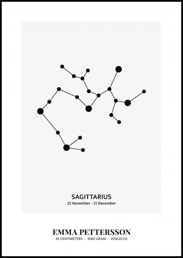 Sagittarius - Signo del zodiaco