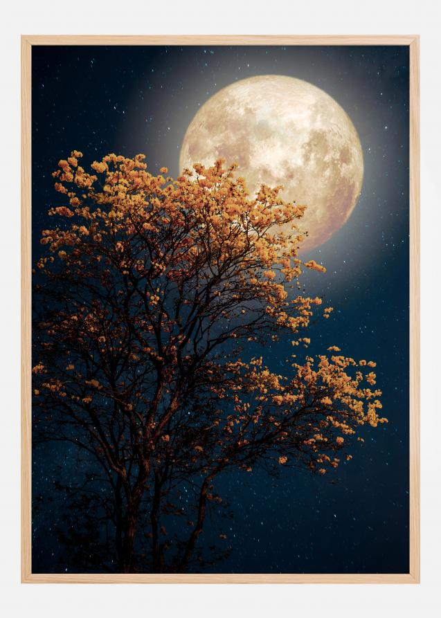 Tree in moonlight Póster