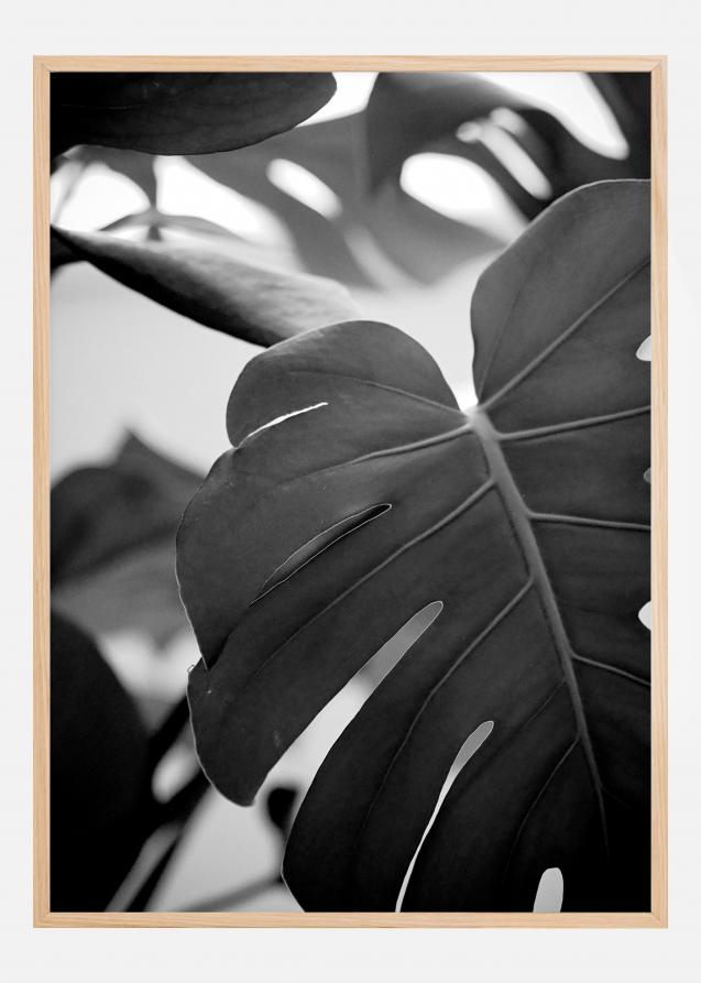 Monstera in Black and White ll Póster