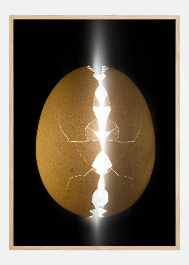 Alien egg Póster