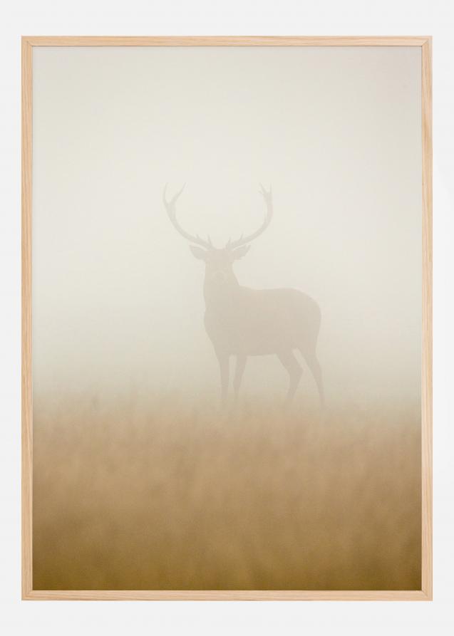 Ghost Stag Póster