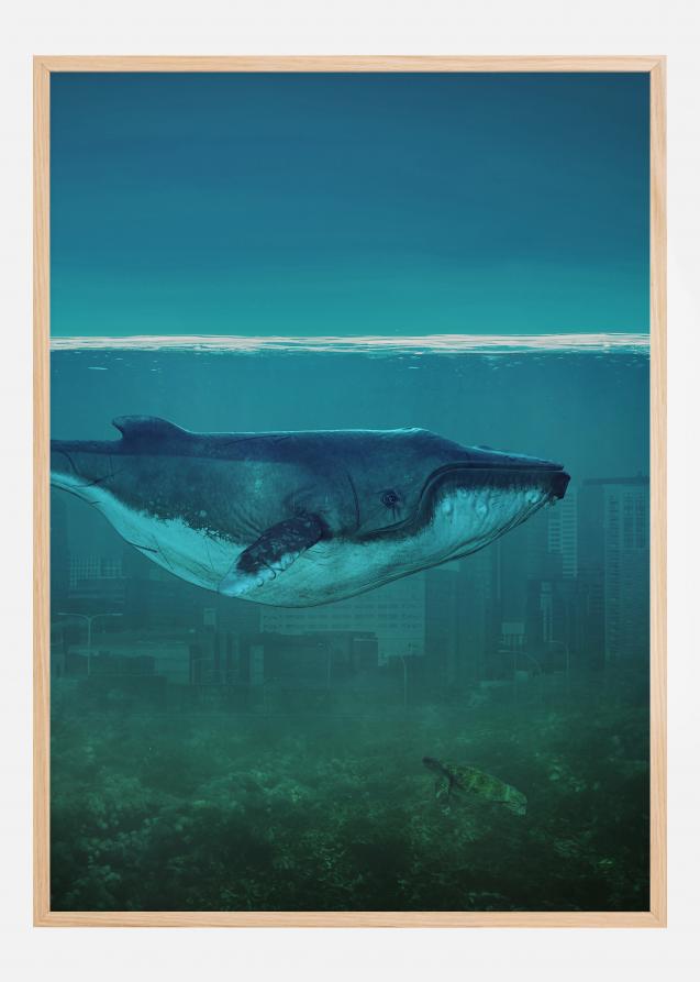Blue Whale Póster