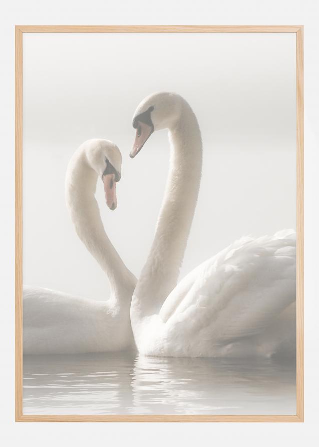 Swan Forever Póster