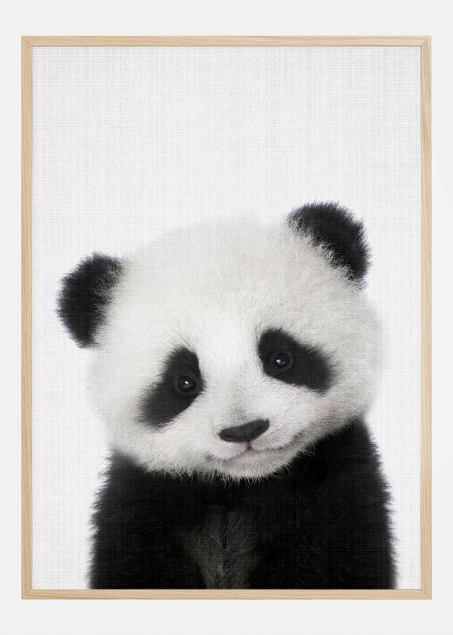 Peekaboo Baby Panda Póster