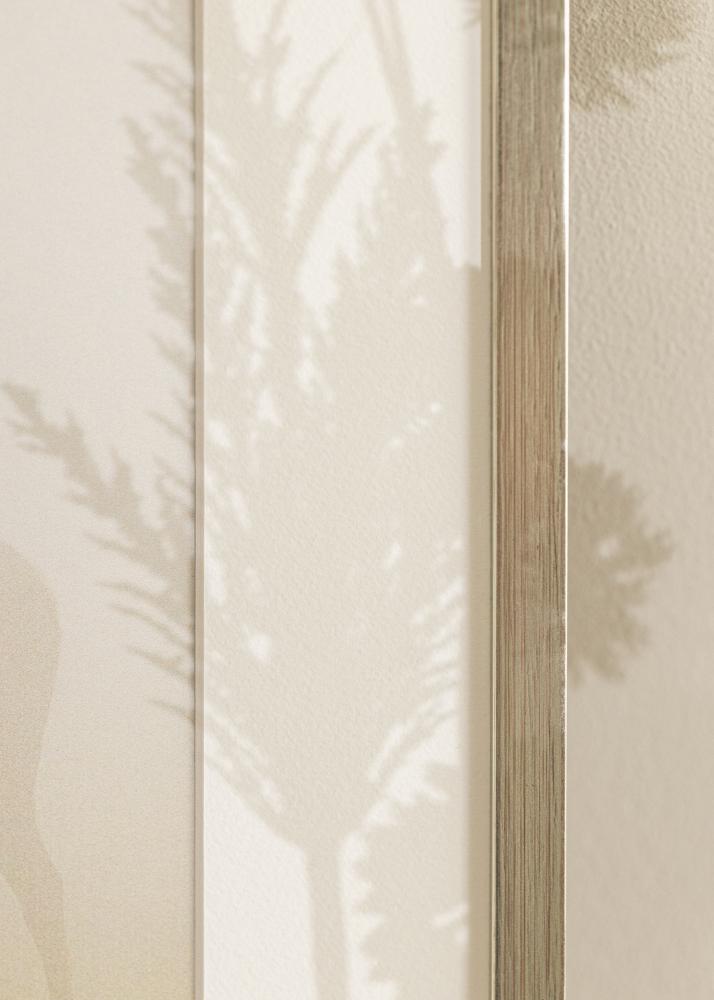 Marco Edsbyn Vidrio acrlico Plateado 30x70 cm
