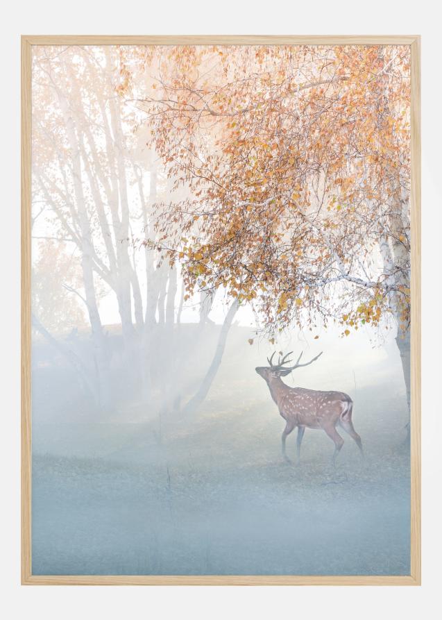 Elk Lost In Mist Póster