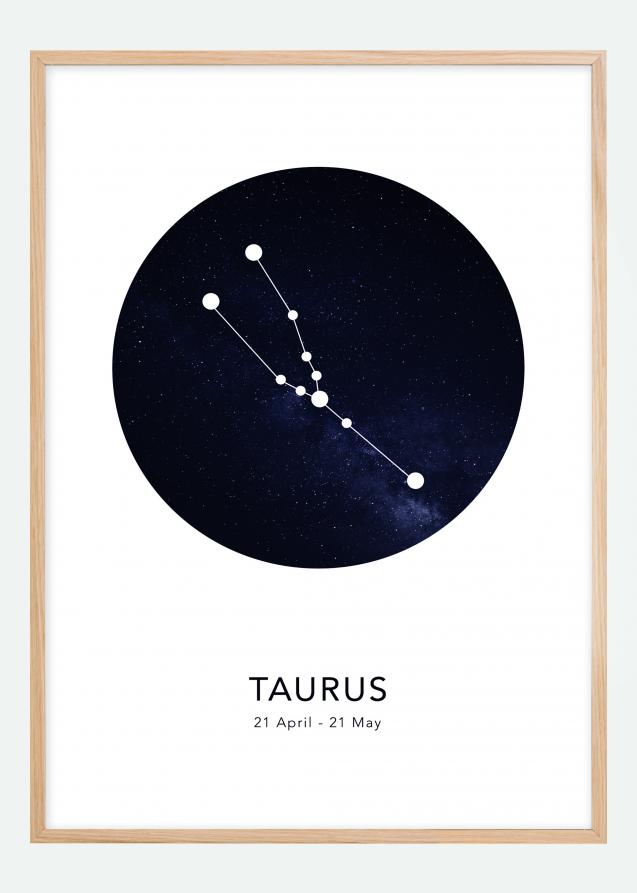 Taurus Póster