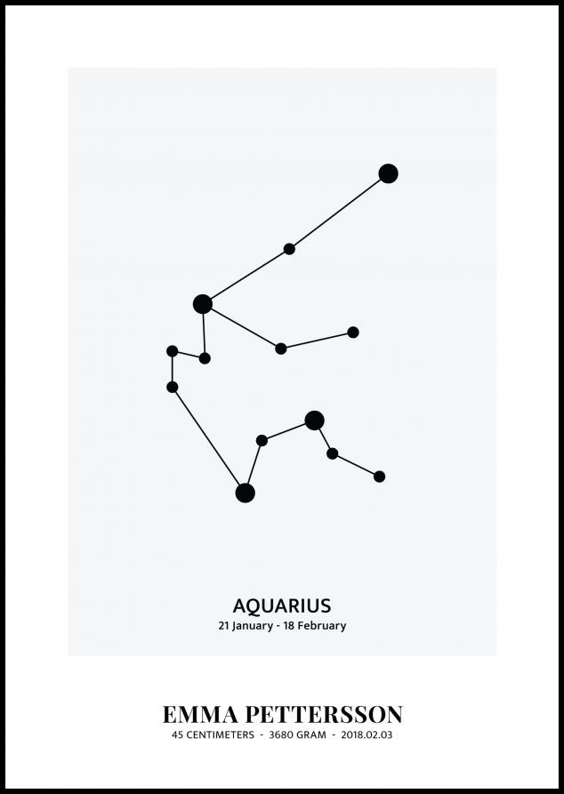 Aquarius - Signo del zodiaco