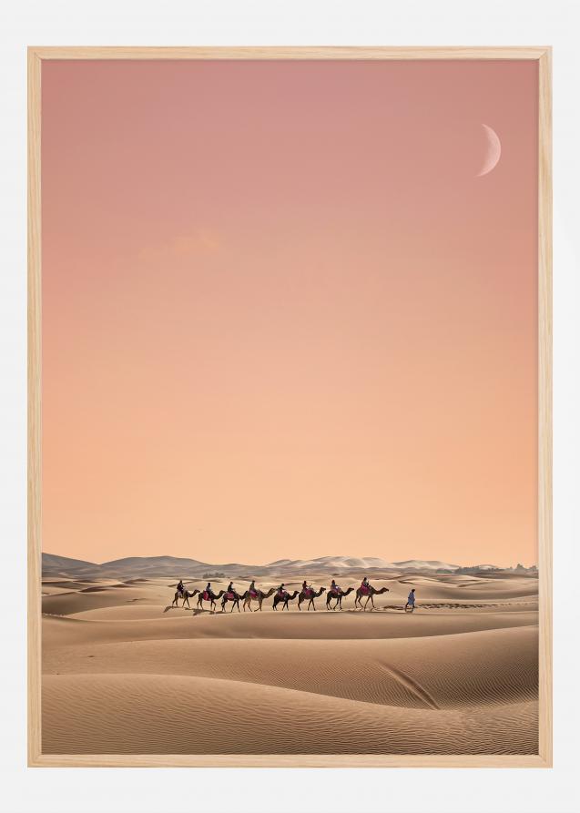 Eight Camels Póster