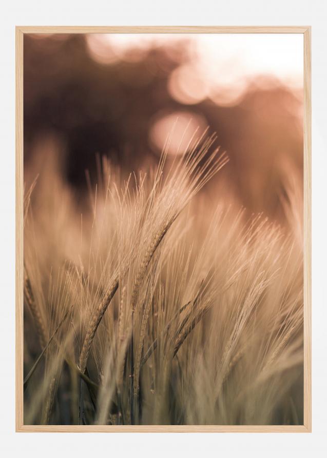 Wheat Fields I Póster