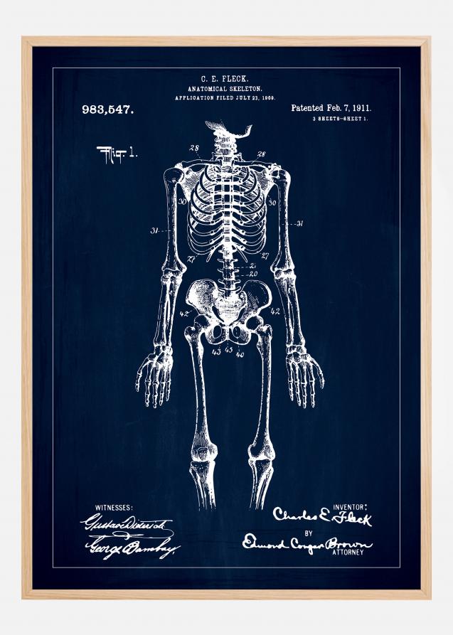 Dibujo de patente - Esqueleto anatómico I - Azul Póster