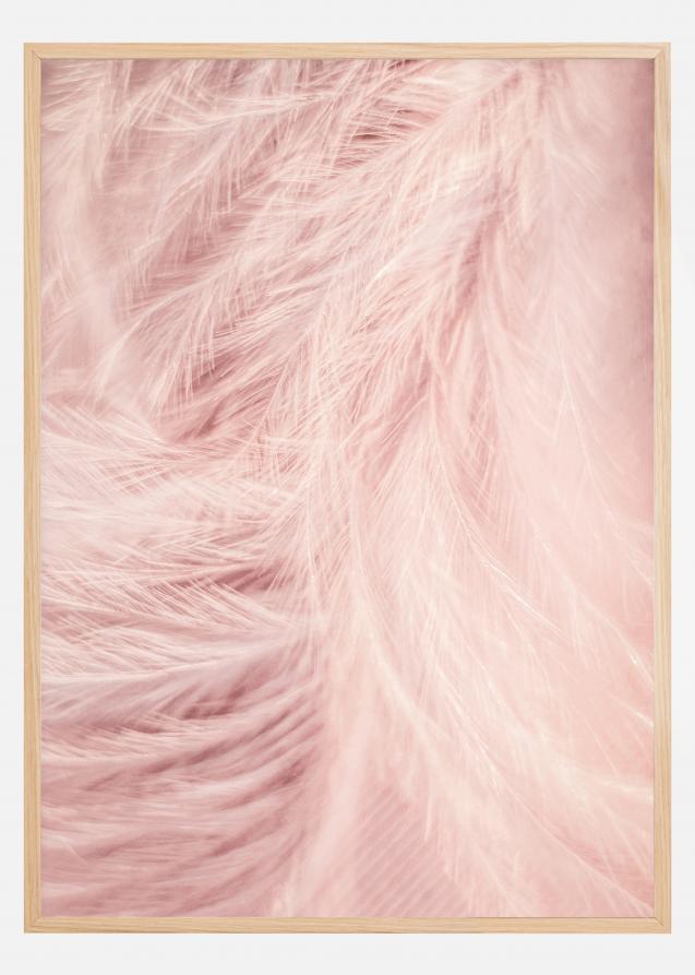 Pink Feathers Póster