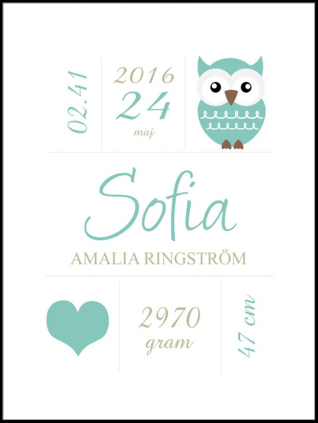 Owl Birth Póster Turquoise