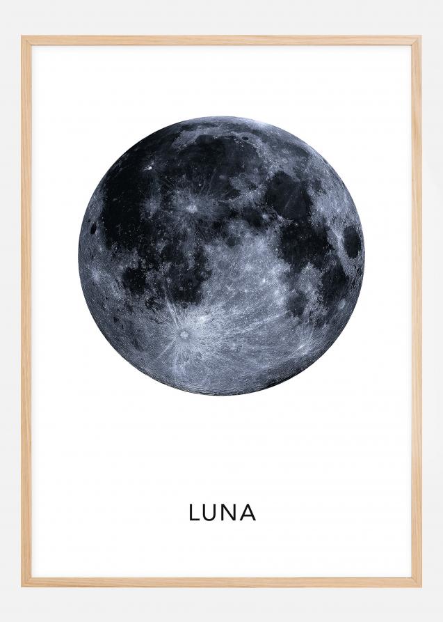 Luna Póster