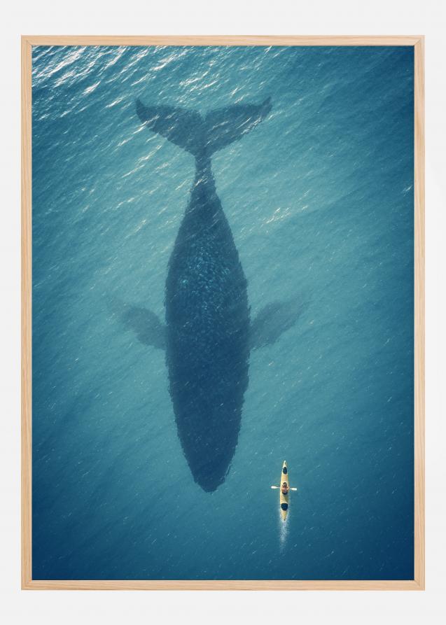 A Big Whale Póster