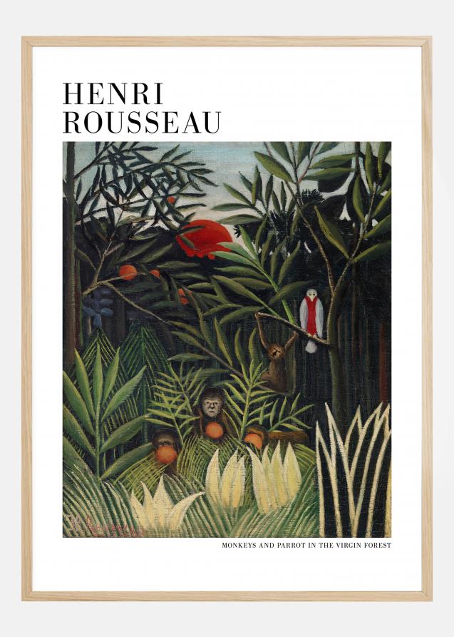 Henri Rousseau - Monkeys And Parrot In The Virgin Forest Póster