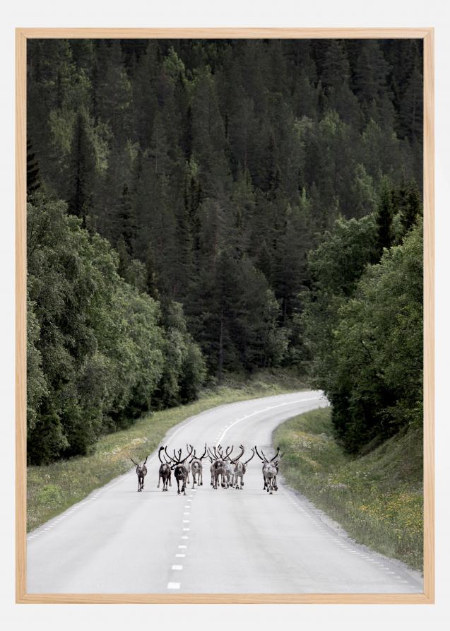 Reindeer road Póster