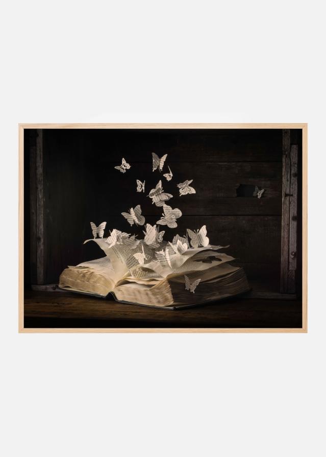 Lepidopterology Póster