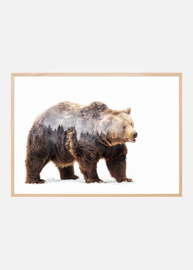 Bear Póster