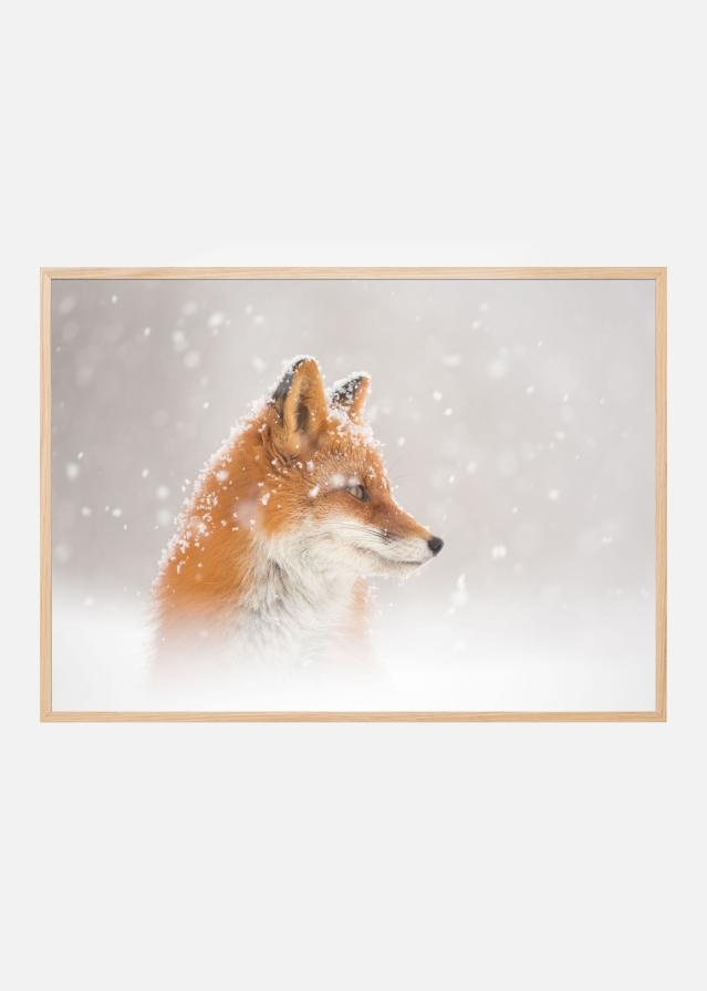 Snow is fallingab Póster