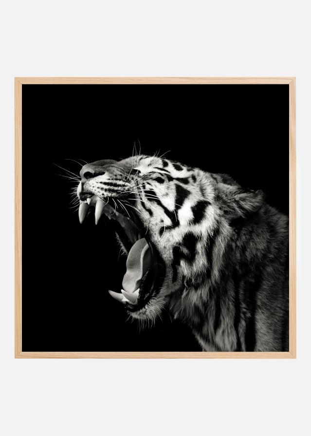 Primal Yawn #4 Póster