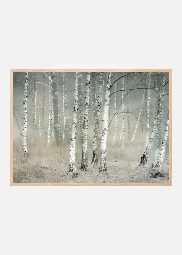 Morning silence Póster