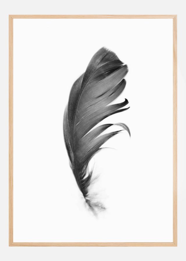 Feather Póster