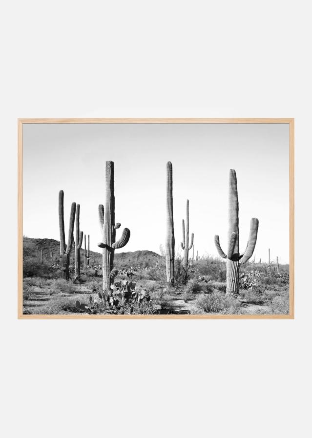 Grey Cactus Land Póster