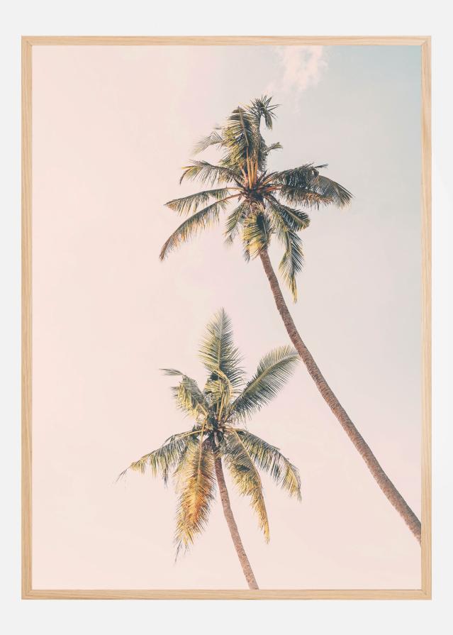 Tropical Palms Póster