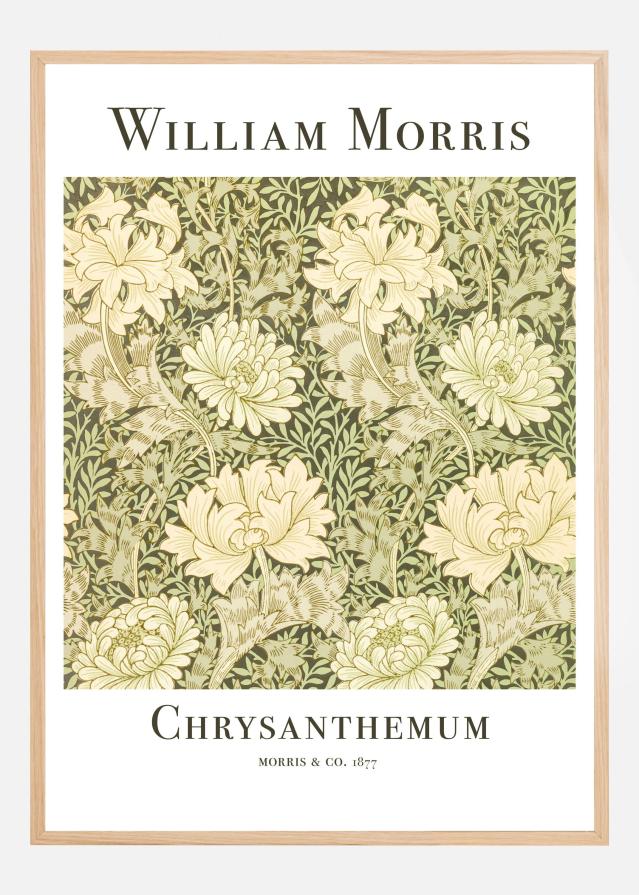 Chrysanthemum Póster