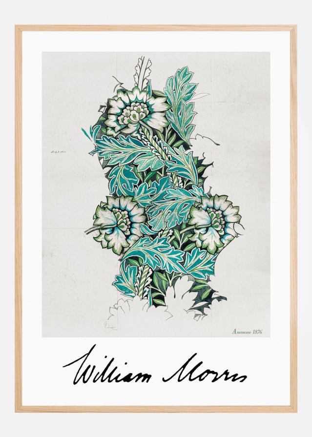 Anemone Póster